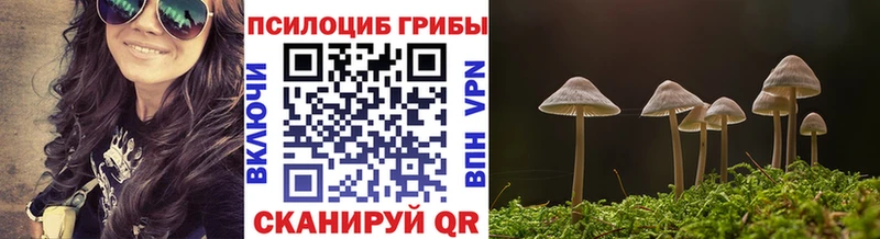 Купить закладки  Мураши  Псилоцибиновые грибы прущие грибы 